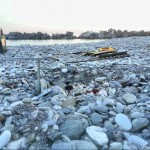 Grillplausch am Strand